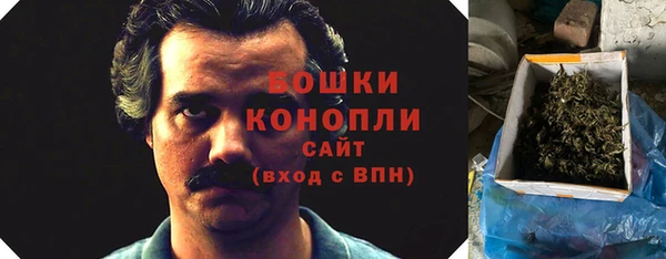 молекула духа Навашино